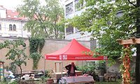 2020-06-10 09.07.03.jpg