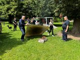 Uni-Graz-5.6 (26)
