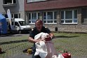 Brandschutz macht Schule 24.5 (69)